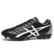 2022-c-black