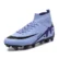 purple-fg